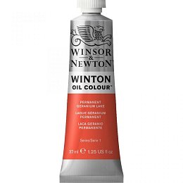 Olejová barva Winton, 37 ml, Winsor&Newton