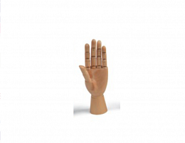 Dřevěný model ruky
